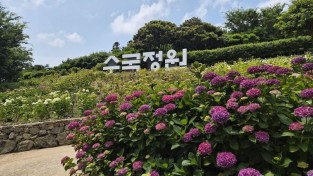 사진 (1) (7).jpg