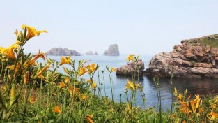 사진 (1) (11).jpg