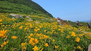 사진 (1) (26).jpg